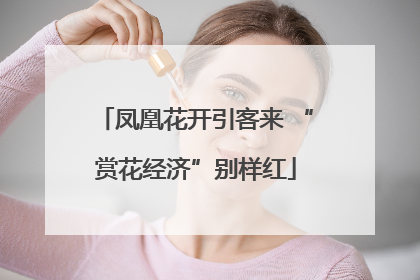 凤凰花开引客来 “赏花经济”别样红