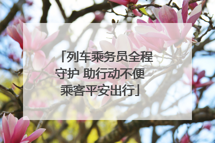 列车乘务员全程守护 助行动不便乘客平安出行