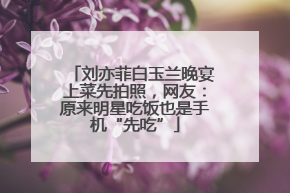 刘亦菲白玉兰晚宴上菜先拍照，网友：原来明星吃饭也是手机“先吃”