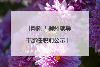 刚刚！柳州领导干部任职前公示