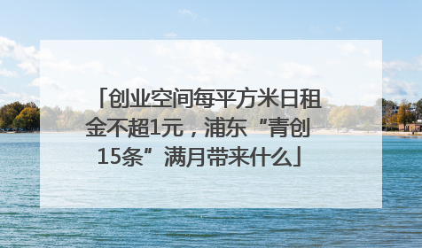 创业空间每平方米日租金不超1元，浦东“青创15条”满月带来什么