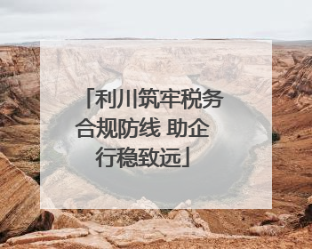 利川筑牢税务合规防线 助企行稳致远