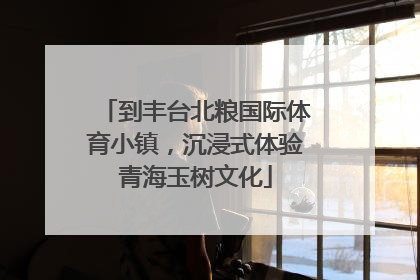 到丰台北粮国际体育小镇，沉浸式体验青海玉树文化