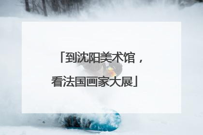 到沈阳美术馆，看法国画家大展