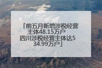 前五月新增涉税经营主体48.15万户 四川涉税经营主体达534.99万户