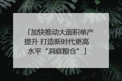 加快推动大面积单产提升 打造新时代更高水平“洞庭粮仓”