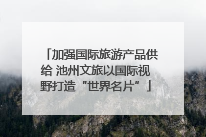 加强国际旅游产品供给 池州文旅以国际视野打造“世界名片”