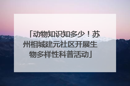 动物知识知多少！苏州相城建元社区开展生物多样性科普活动