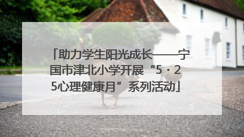 助力学生阳光成长——宁国市津北小学开展“5・25心理健康月”系列活动