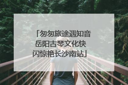 匆匆旅途遇知音 岳阳古琴文化快闪惊艳长沙南站