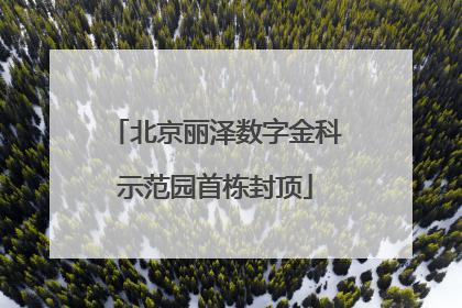 北京丽泽数字金科示范园首栋封顶