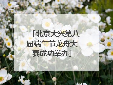 北京大兴第八届端午节龙舟大赛成功举办