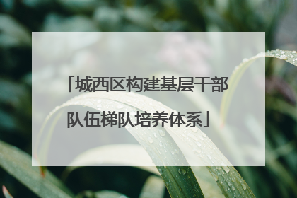 城西区构建基层干部队伍梯队培养体系