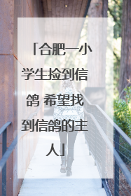 合肥一小学生捡到信鸽 希望找到信鸽的主人