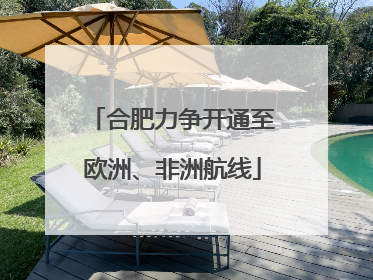 合肥力争开通至欧洲、非洲航线