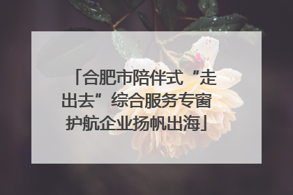 合肥市陪伴式“走出去”综合服务专窗护航企业扬帆出海