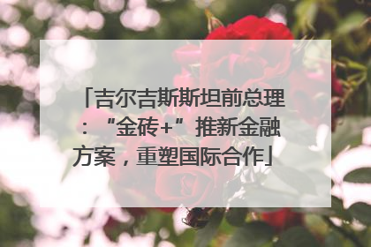吉尔吉斯斯坦前总理：“金砖+”推新金融方案，重塑国际合作