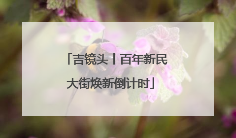 吉镜头丨百年新民大街焕新倒计时