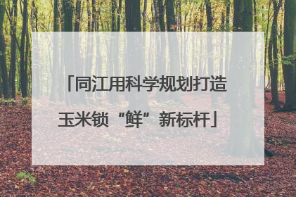 同江用科学规划打造玉米锁“鲜”新标杆