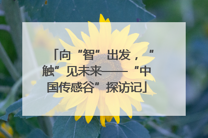 向“智”出发，“触”见未来——“中国传感谷”探访记