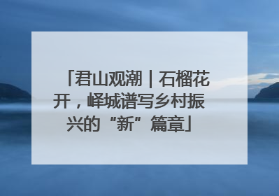 君山观潮｜石榴花开，峄城谱写乡村振兴的“新”篇章