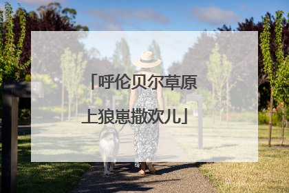 呼伦贝尔草原上狼崽撒欢儿