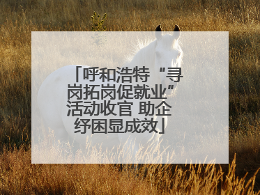 呼和浩特“寻岗拓岗促就业”活动收官 助企纾困显成效