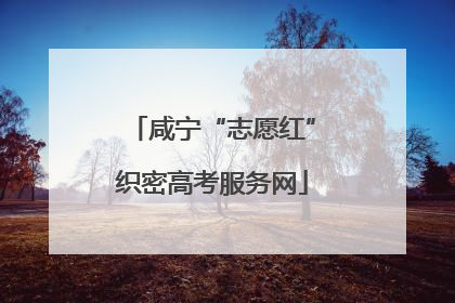咸宁“志愿红”织密高考服务网