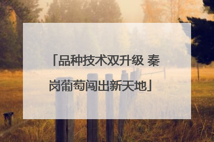 品种技术双升级 秦岗葡萄闯出新天地