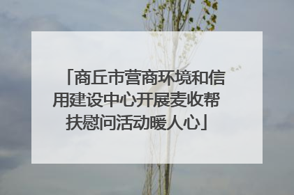 商丘市营商环境和信用建设中心开展麦收帮扶慰问活动暖人心