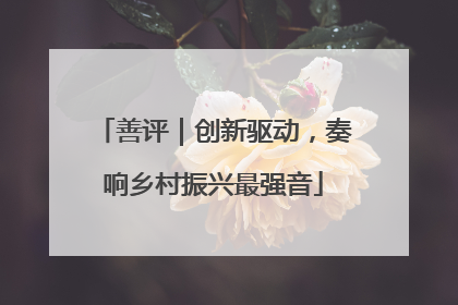 善评｜创新驱动，奏响乡村振兴最强音
