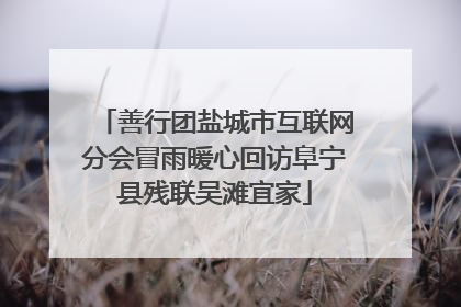 善行团盐城市互联网分会冒雨暖心回访阜宁县残联吴滩宜家