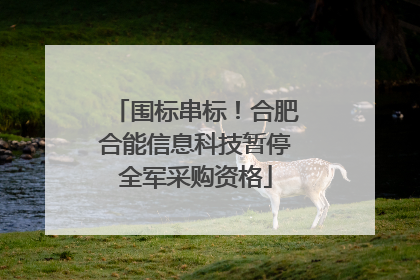 围标串标！合肥合能信息科技暂停全军采购资格