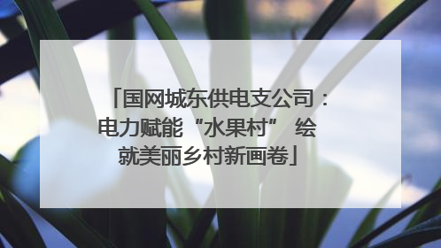 国网城东供电支公司：电力赋能“水果村” 绘就美丽乡村新画卷