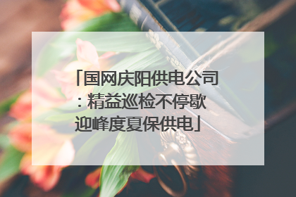 国网庆阳供电公司：精益巡检不停歇 迎峰度夏保供电