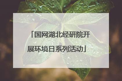 国网湖北经研院开展环境日系列活动