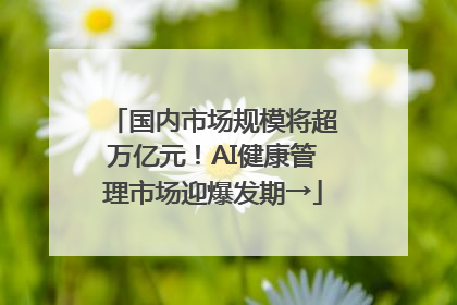 国内市场规模将超万亿元！AI健康管理市场迎爆发期→
