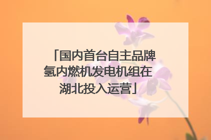 国内首台自主品牌氢内燃机发电机组在湖北投入运营