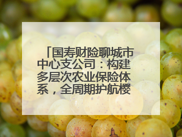 国寿财险聊城市中心支公司：构建多层次农业保险体系，全周期护航樱桃产业发展