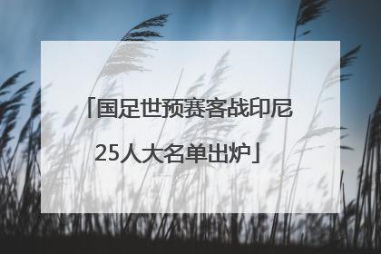 国足世预赛客战印尼25人大名单出炉