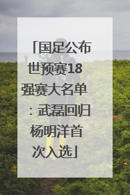 国足公布世预赛18强赛大名单：武磊回归 杨明洋首次入选