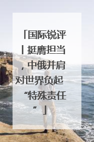 国际锐评丨挺膺担当，中俄并肩对世界负起“特殊责任”