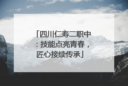 四川仁寿二职中：技能点亮青春，匠心接续传承