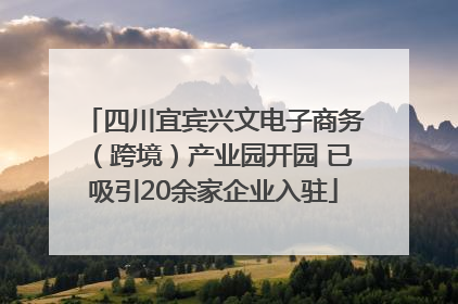 四川宜宾兴文电子商务（跨境）产业园开园 已吸引20余家企业入驻