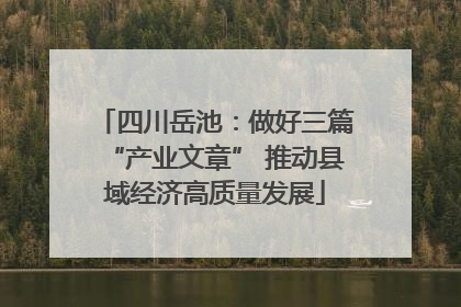 四川岳池：做好三篇“产业文章” 推动县域经济高质量发展