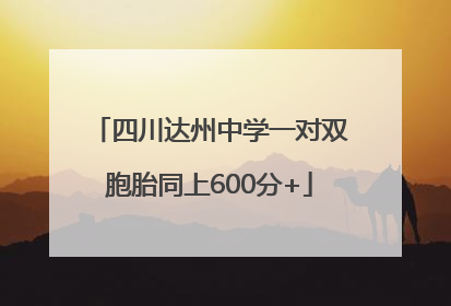 四川达州中学一对双胞胎同上600分+