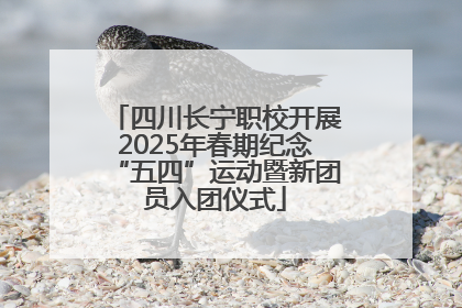 四川长宁职校开展2025年春期纪念“五四”运动暨新团员入团仪式