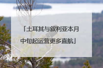 土耳其与叙利亚本月中旬起运营更多直航