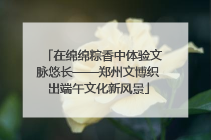 在绵绵粽香中体验文脉悠长——郑州文博织出端午文化新风景