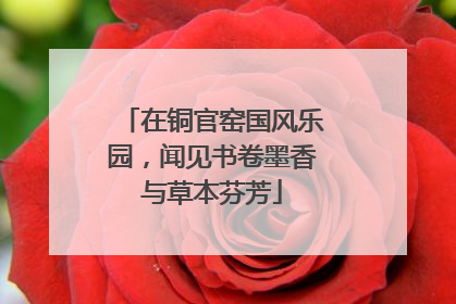 在铜官窑国风乐园，闻见书卷墨香与草本芬芳
